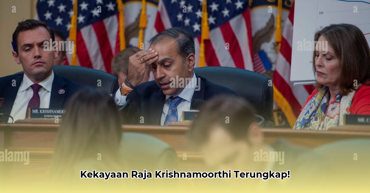 raja krishnamoorthi net worth